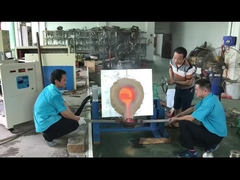 Máquina de fusión de la inducción industrial para el platino Palladium del oro