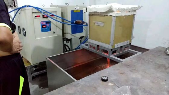 Calefacción de inducción electromágnetica ahorro de energía Furnance para el platino de fusión